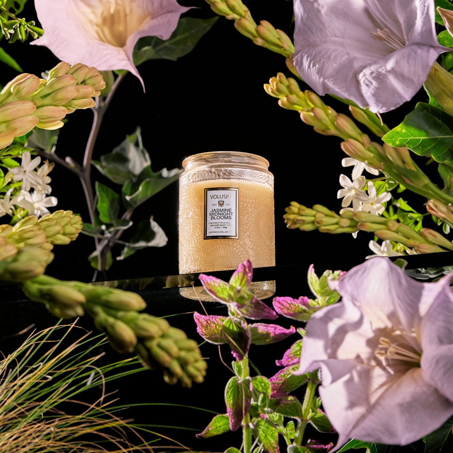 Voluspa Jasmine Midnight Blooms - Small Jar Candle 6 Voluspa Jasmine Midnight Blooms - Small Jar Candle - Image 4