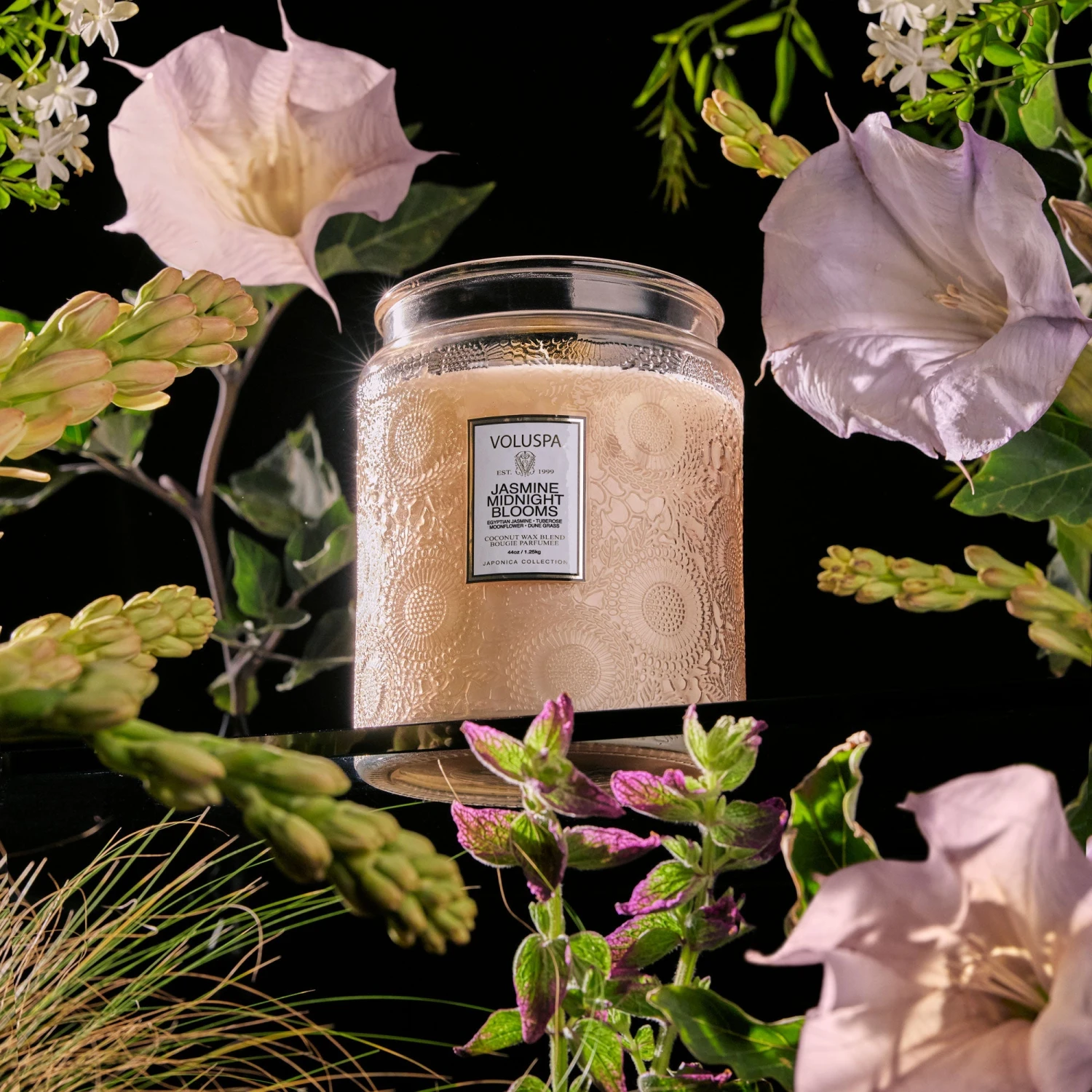 Voluspa Jasmine Midnight Blooms - Luxe Jar Candle 6 Voluspa Jasmine Midnight Blooms - Luxe Jar Candle - Image 4