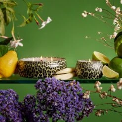 Voluspa Jardin De Verveine - Mini Tin Candle 9 Voluspa Jardin De Verveine - Mini Tin Candle -Voluspa SS23 ING 8218 82182 WEB